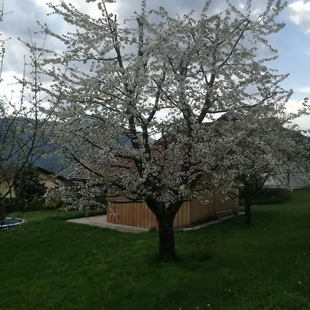 Egger * Nötsch