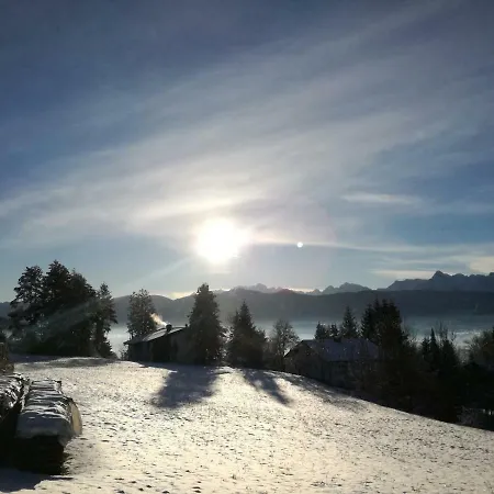 Albert Egger Daire *