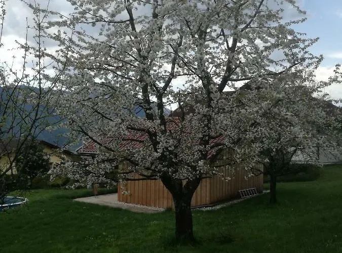 Albert Egger * Noetsch